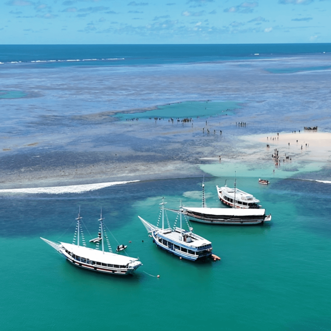 vista-aerea-piscinas-naturais-recife-de-fora-porto-seguro.png